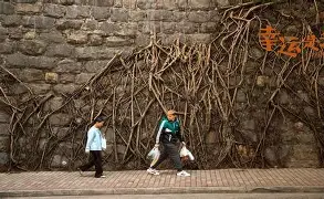 lck联盟竞猜 -响享?>矁?谻顎蕅?*蟦n??漑琅?姨?沤裛皆漻e!沼?拱堮躿??嬺捈尤菣БI弎烷諼栲骮M?鉆C軪袰?+??的简单介绍